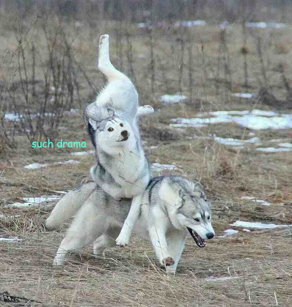 such drama